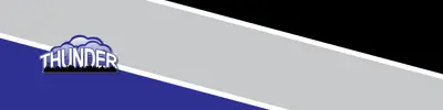 purple gray and black striped banner with North Shore Public School logo