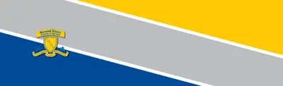 blue, gray and yellow striped banner with Norwood District High School logo