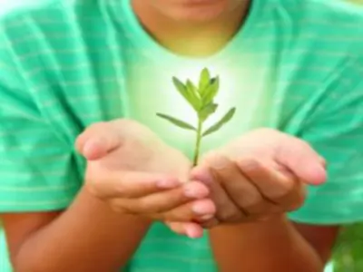 a person holding a small plant in their hands that is glowing with a bright light