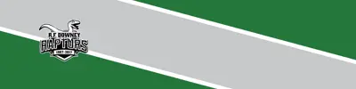 green and gray striped banner with RF Downey Public School logo