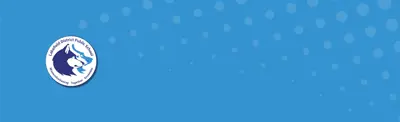 plain light blue banner with dots and Lakefield District Public School logo