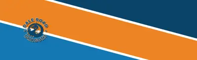blue and orange striped banner with Dale Road Senior Public School logo