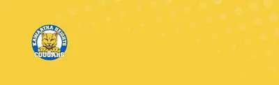 plain yellow banner with dots and Kawartha Heights Public School logo